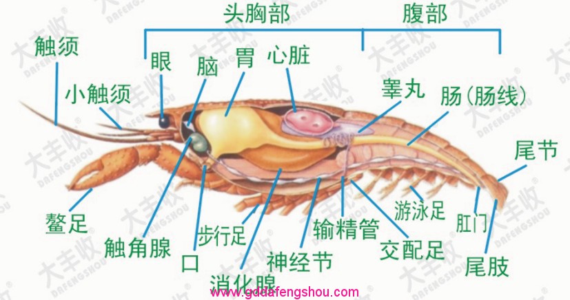 圖片關(guān)鍵詞